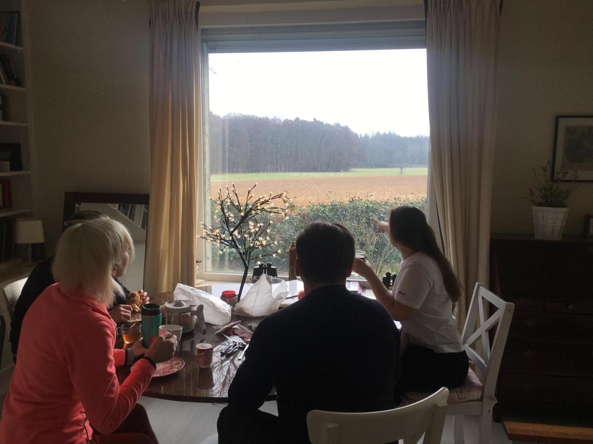 Budget-Unterkunft Im Wunderschonen Haus Mit Herrlichem Panoramablick Lüneburg Dış mekan fotoğraf
